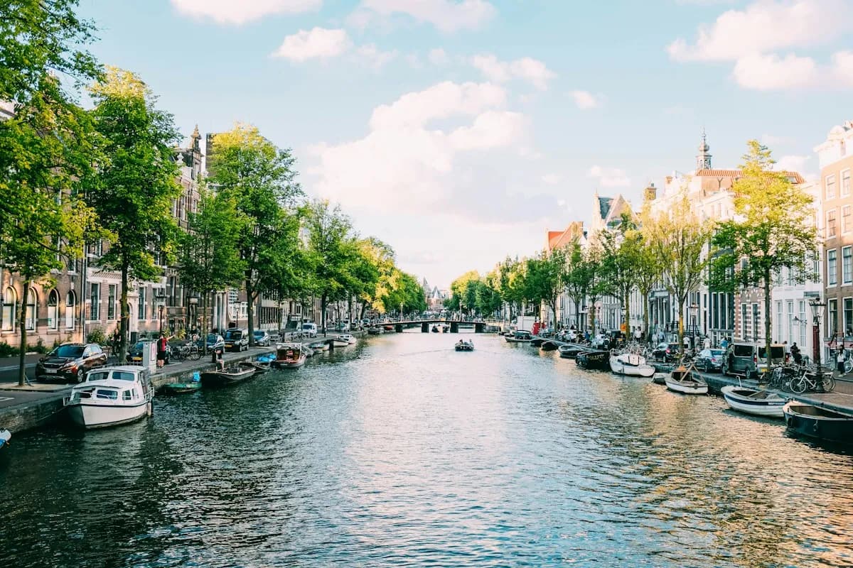 Moored boats and leafy streets lining an Amsterdam canal