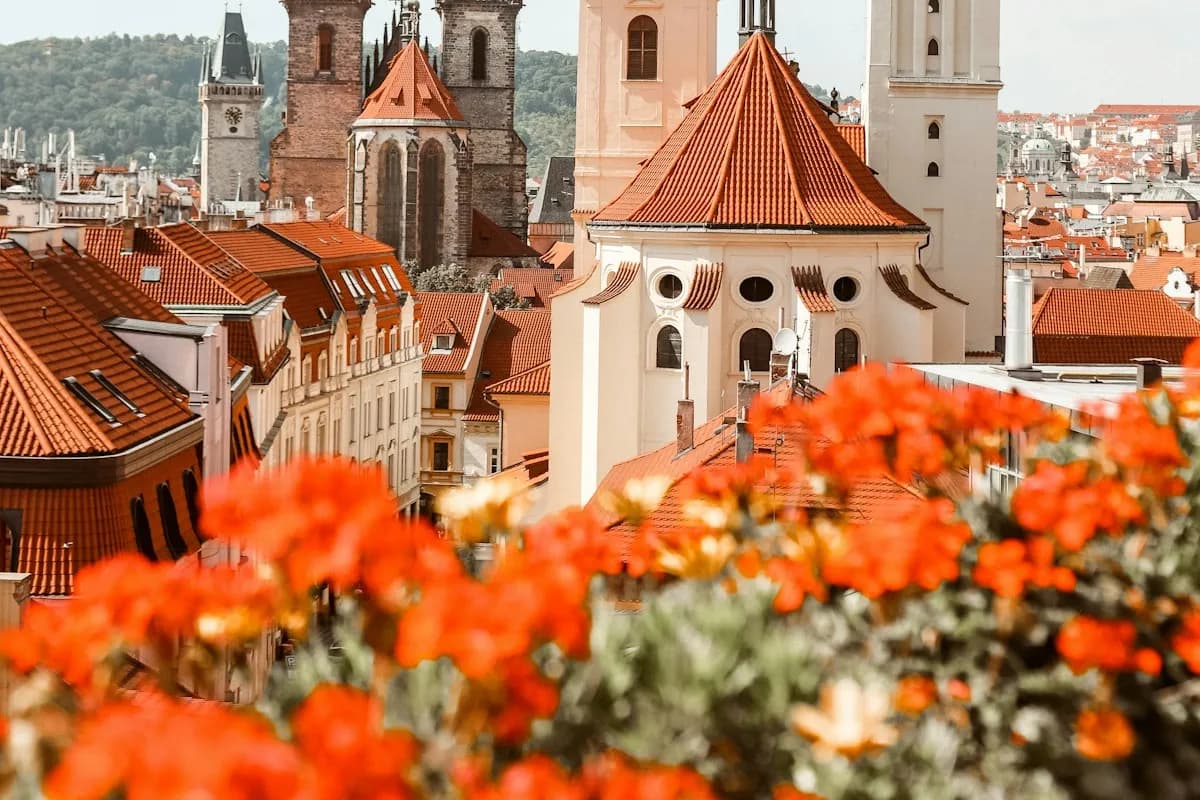 Red rooftops and church spires in Prague with flowers in the foreground
